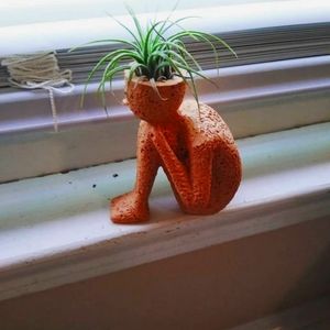 LIKE THIS LISTING TO BE NOTIFIED WHEN I GO LIVE ON POSH SHOWS